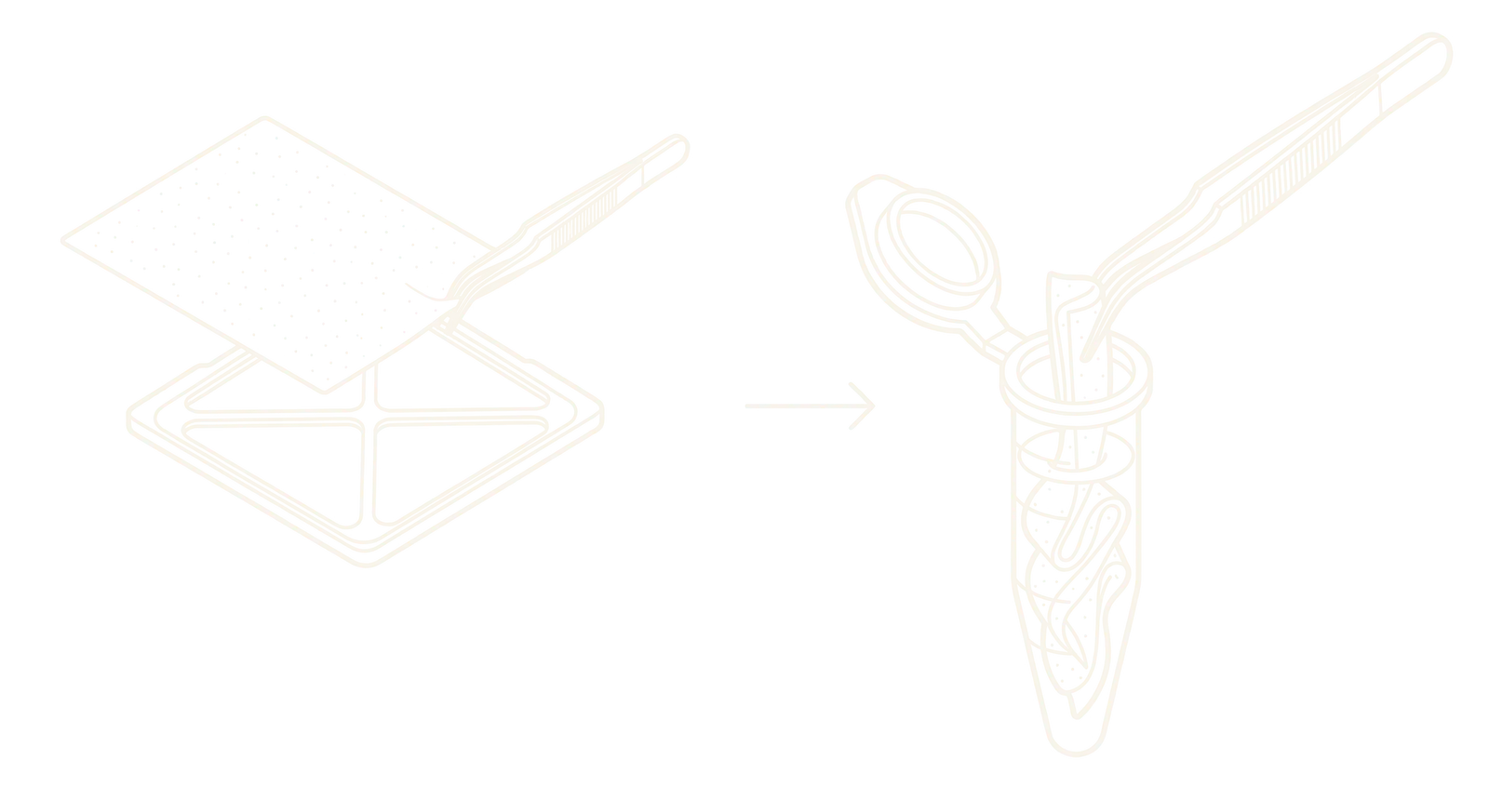 Line drawing of tweezers lifting a square collection substrate out of its holder and lowering it into a small sample tube.