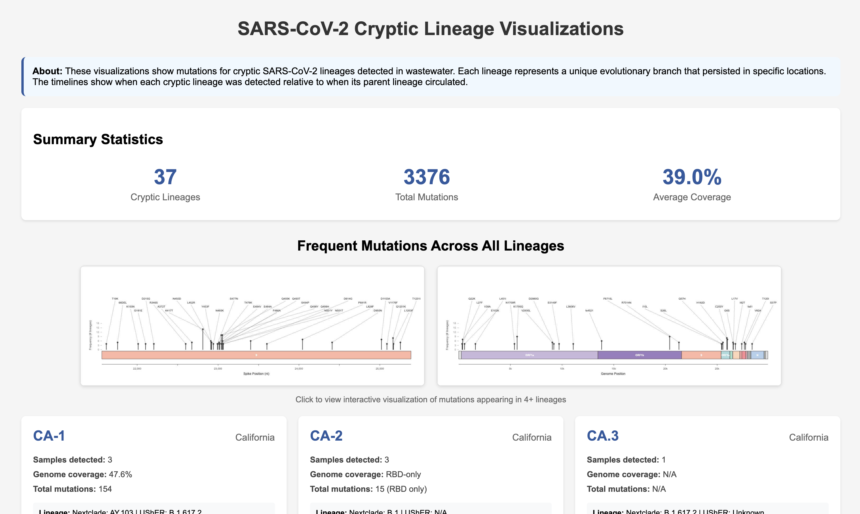SARS-CoV-2 Cryptic Lineages